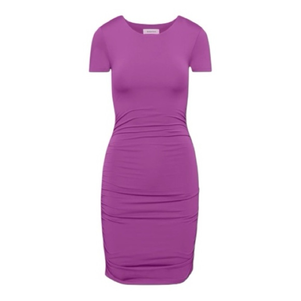 Aritzia Babaton Ruched Mini Dress - Picture 1 of 14